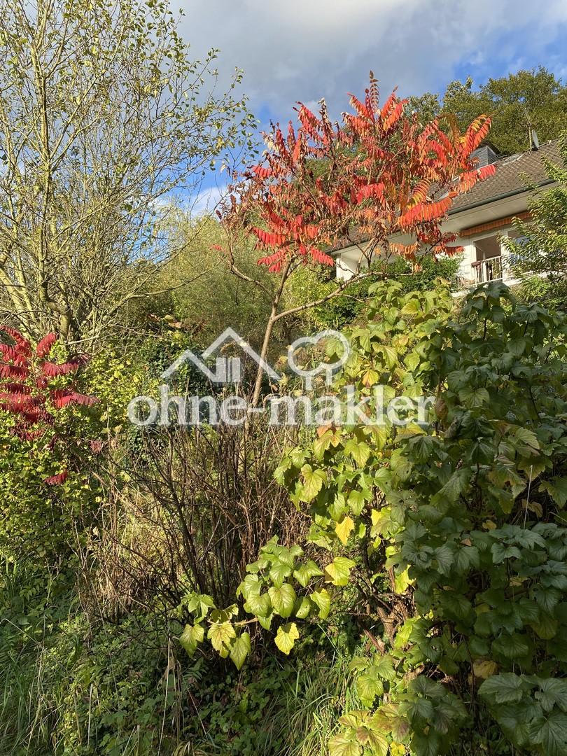 Blick aus dem Garten aufs Haus