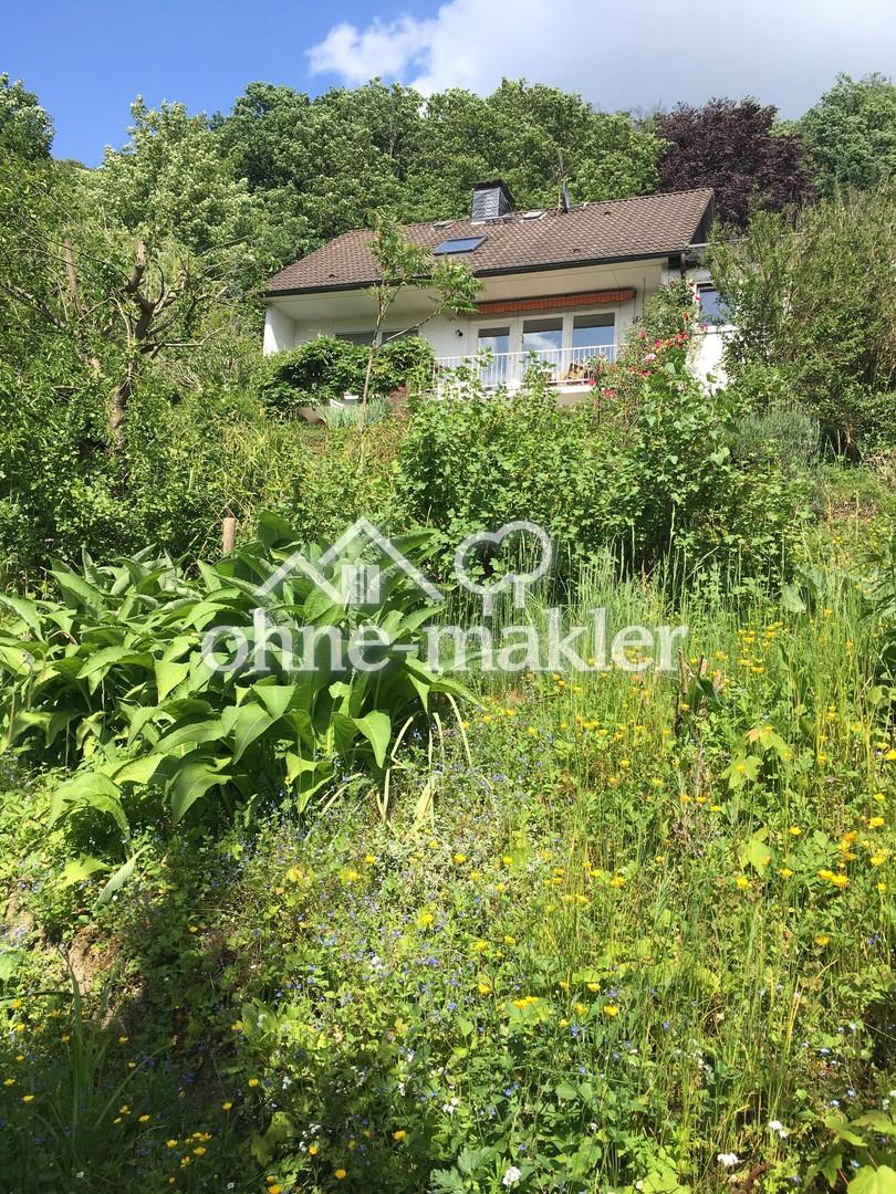 Blick aus Garten aufs Haus