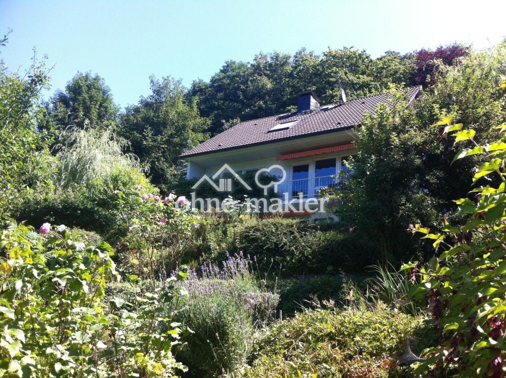 Blick aus Garten aufs Haus