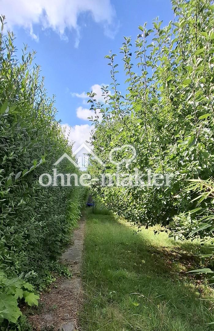 Ligusterhecke mit Apfelbaum