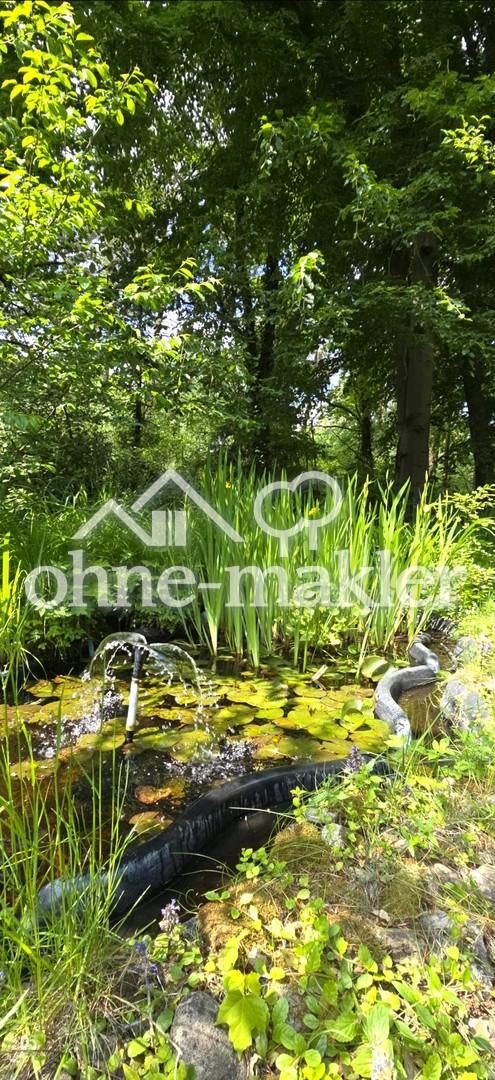 Kleiner Teich Haupthaus