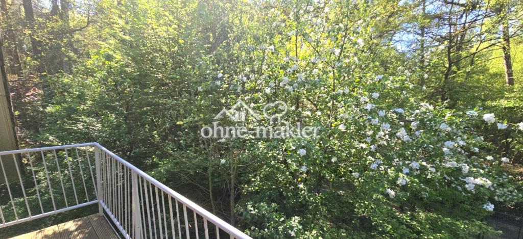 Blick in den Garten Haupthaus