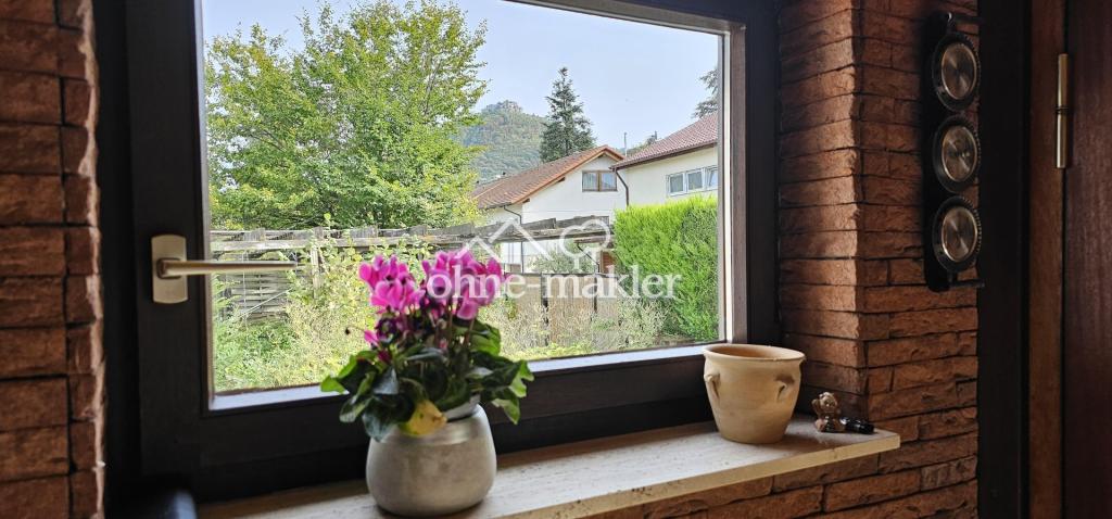 Blick auf Hohen Neuffen