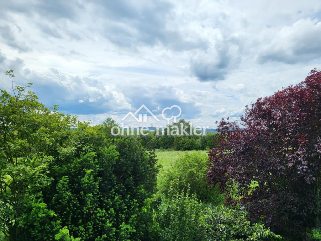 Blick vom Balkon