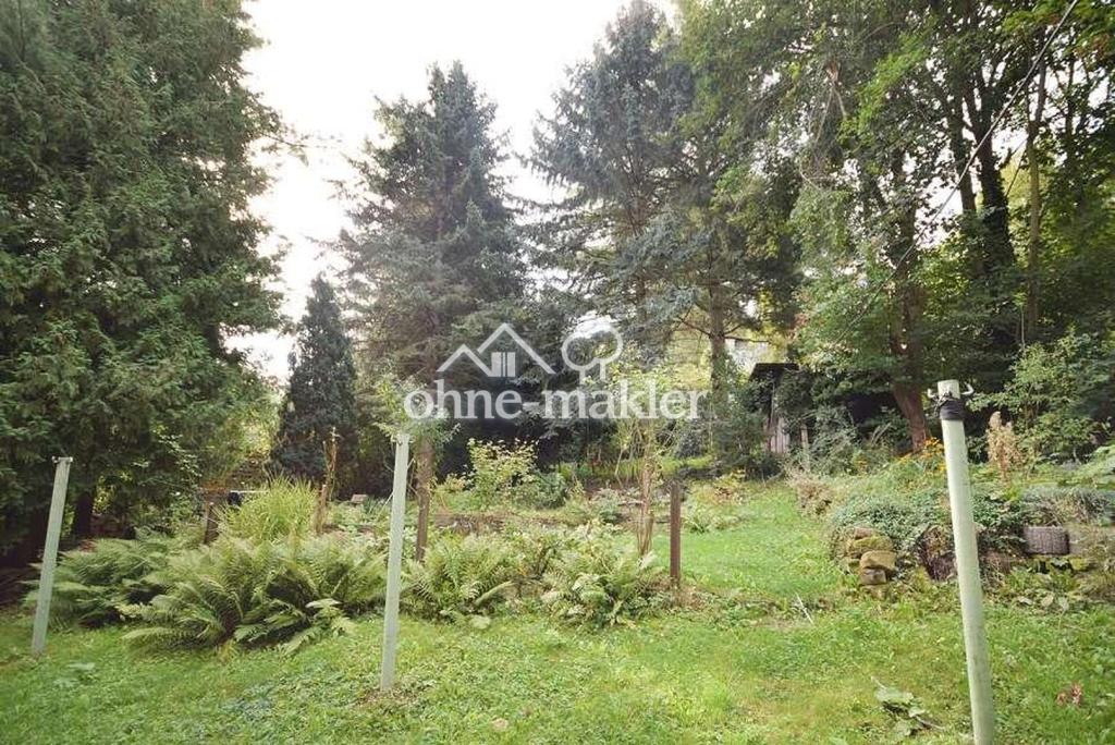 Garten hinter dem Haus