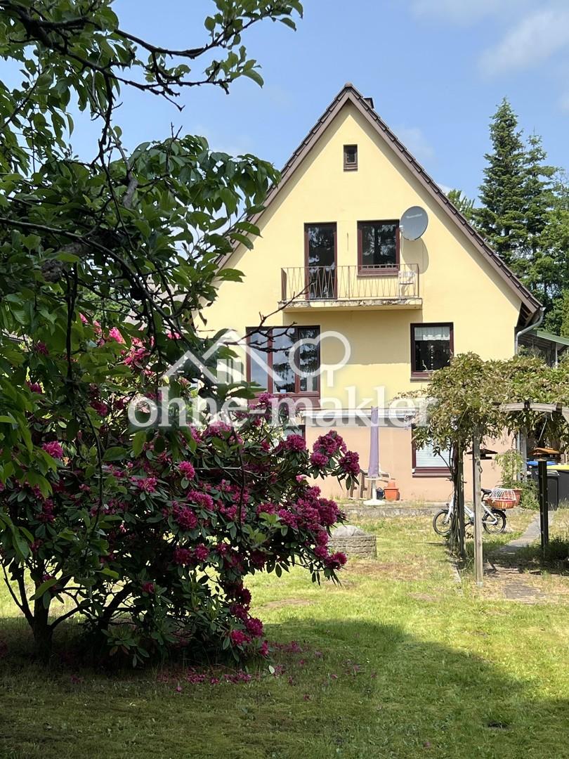 Blick aus dem Garten