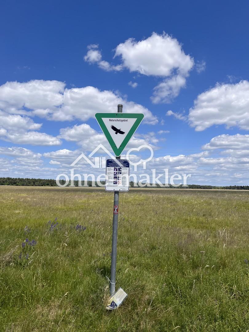 Naturschutzgebiet Nordhaide