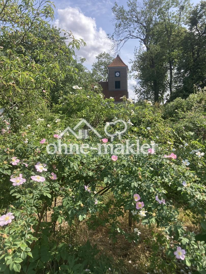 im Garten (Sommer)
