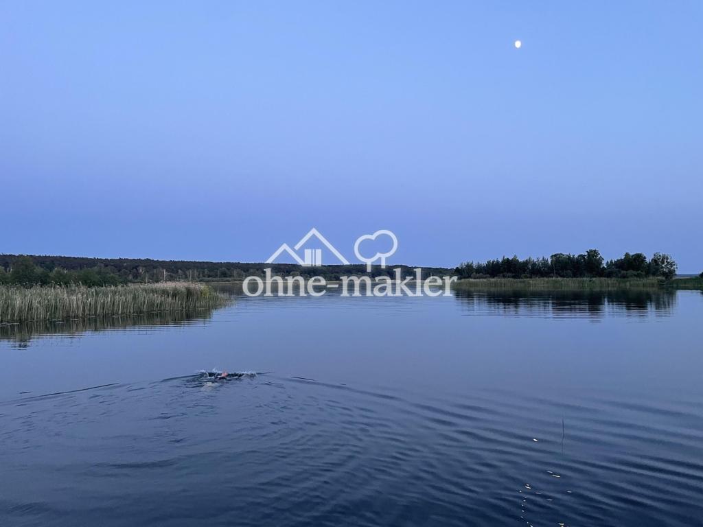 abends am See