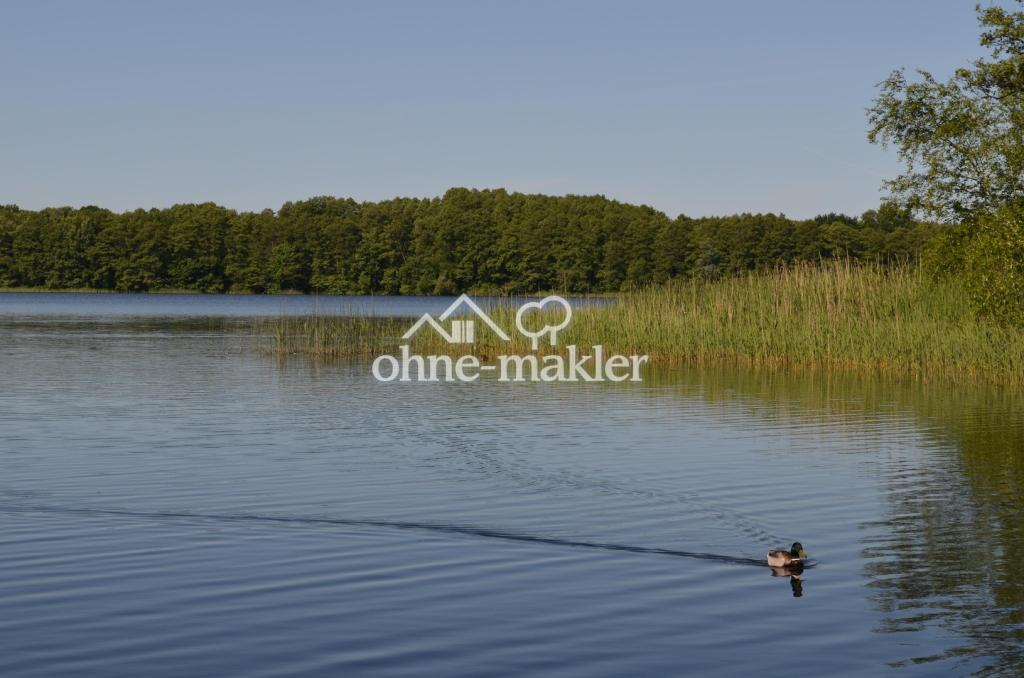 der See