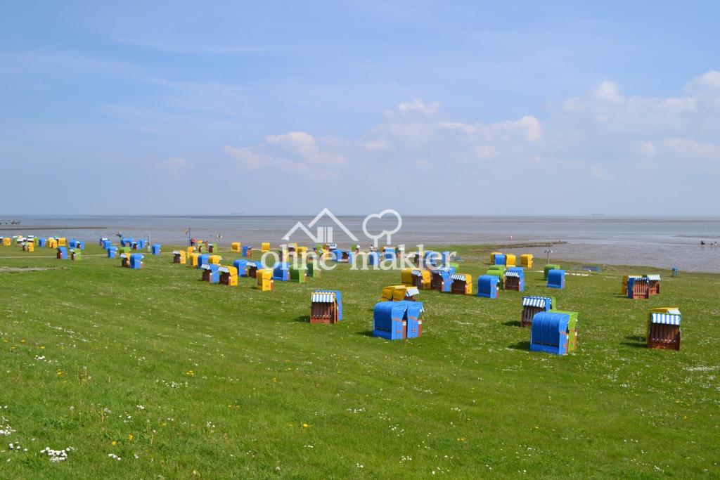 Grünstrand mit Sandabschnitten