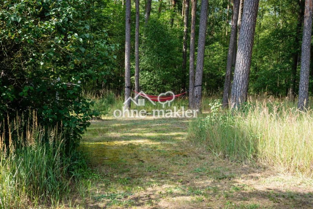 Hängematte im eigenen Wald