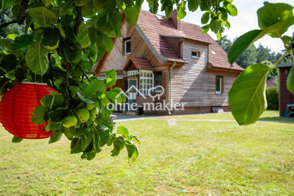 Vom Apfelbaum aufs Haus