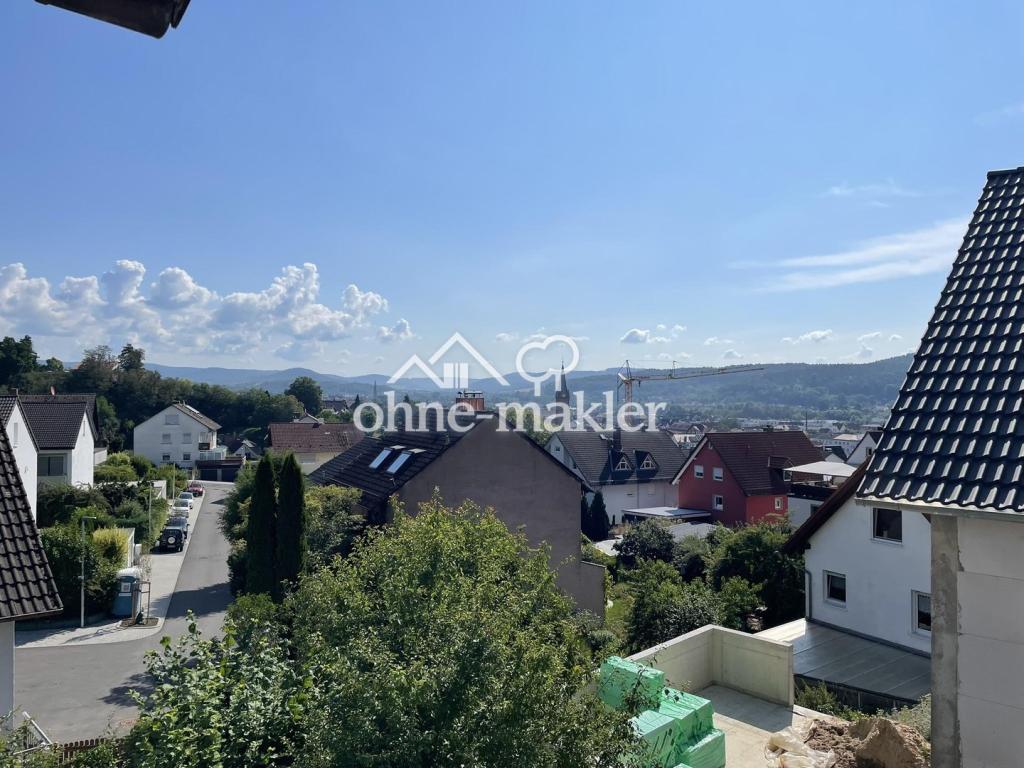 Fernblick