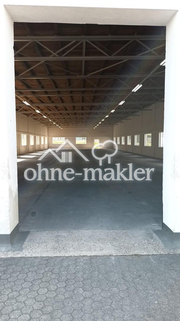 Halle sicht in das Tor