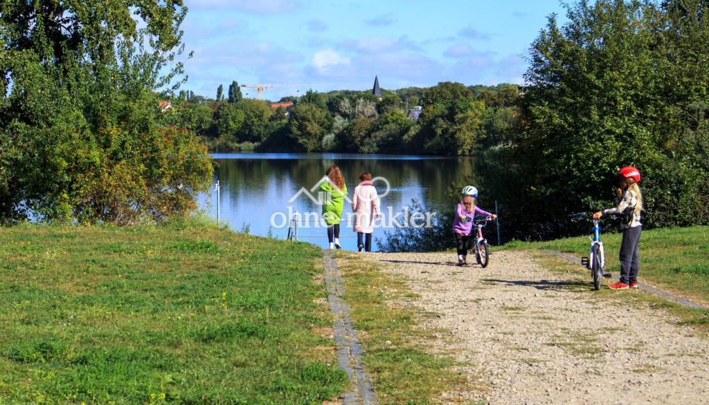 Baggersee in Laufnähe