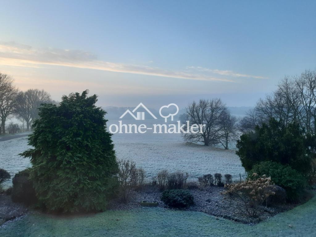 Naturschutzgebiet im Winter