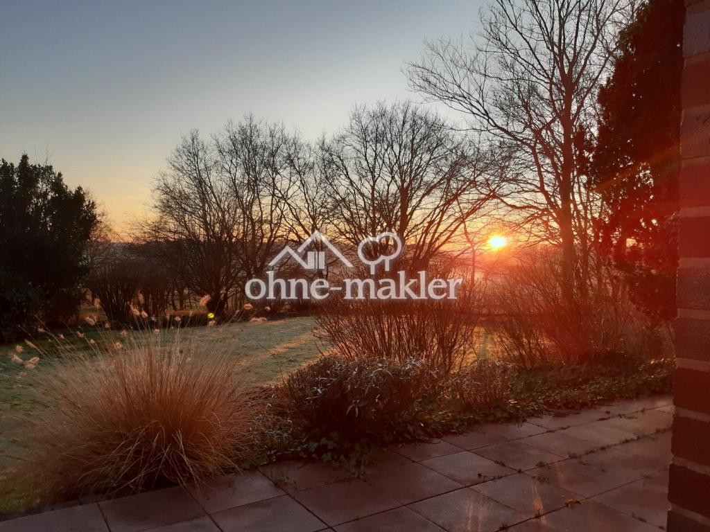 Sonnenuntergang im Garten