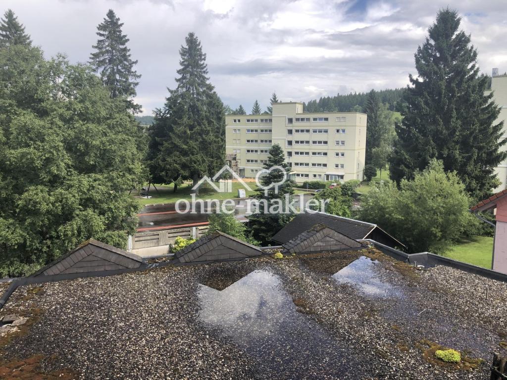 Ausblick Richtung Park