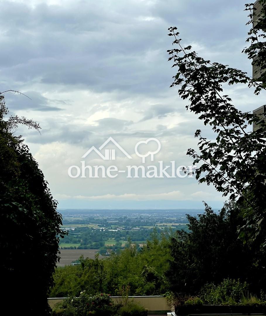 Fernblick
