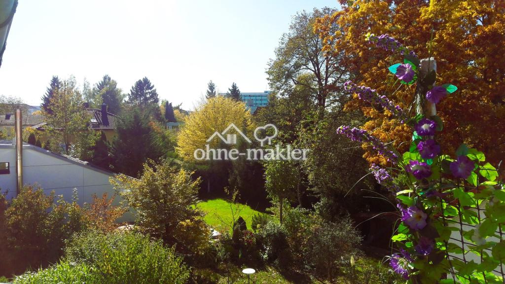 view into the gardens