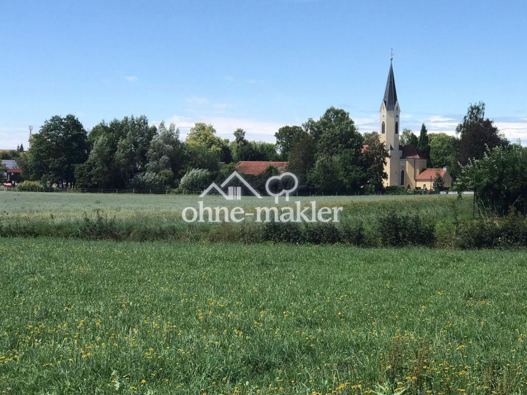 Blick ins grüne