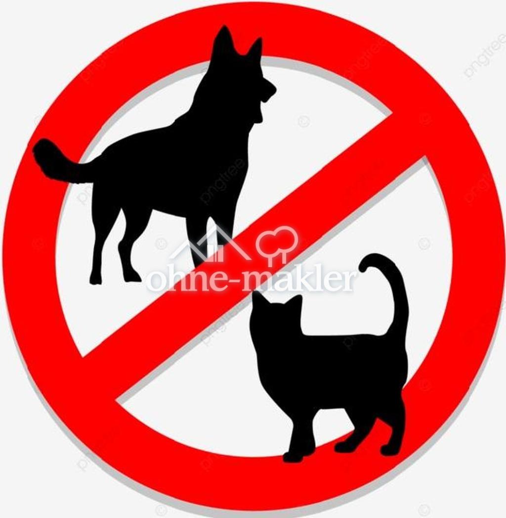 No pets allowed