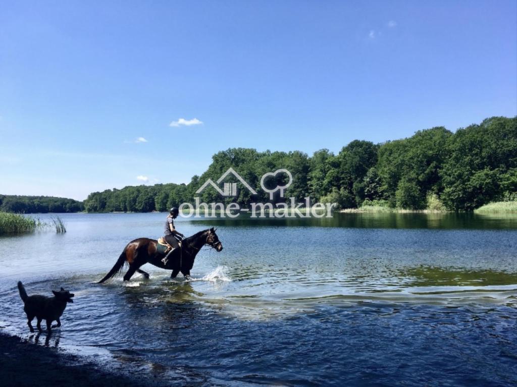 Grunewaldsee