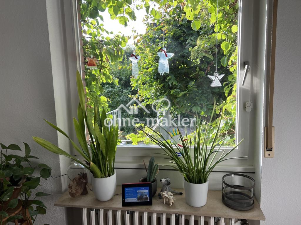 Das Fenster im Esszimmer