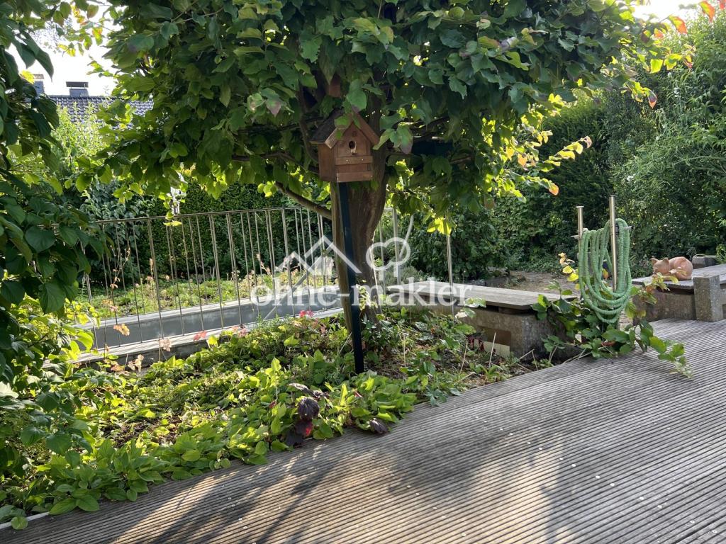 Der Eisenbaum 