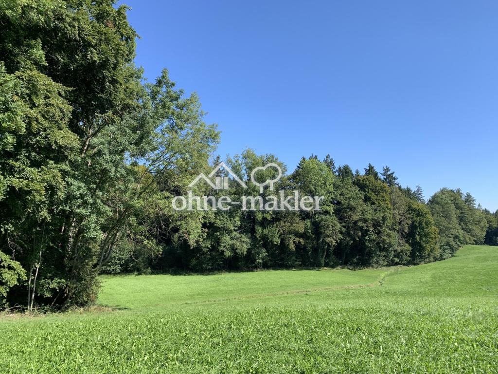Wiesen und Wälder