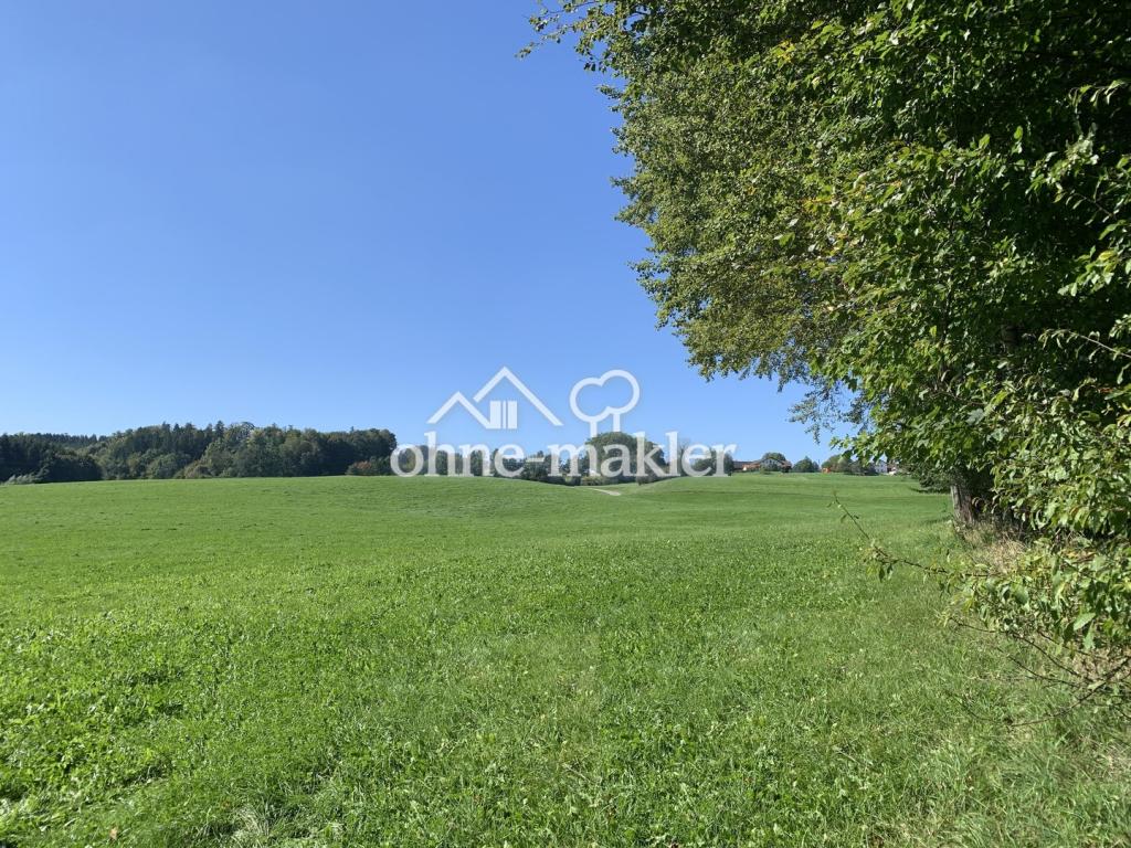 Wiesen