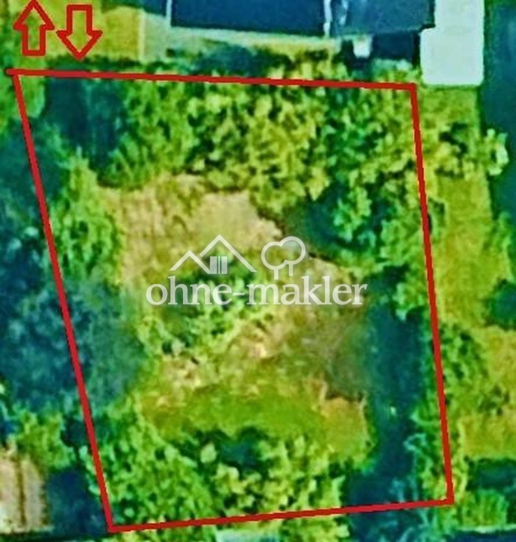 1754076097_100120874.jpg