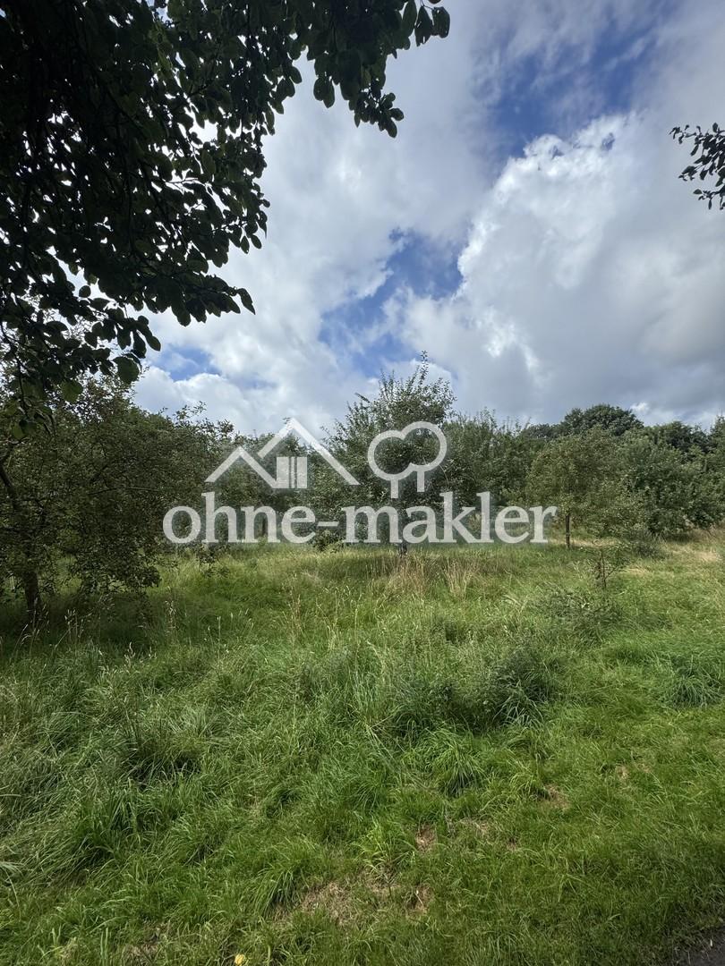 Appelhoffpark mit Apfelbäumen