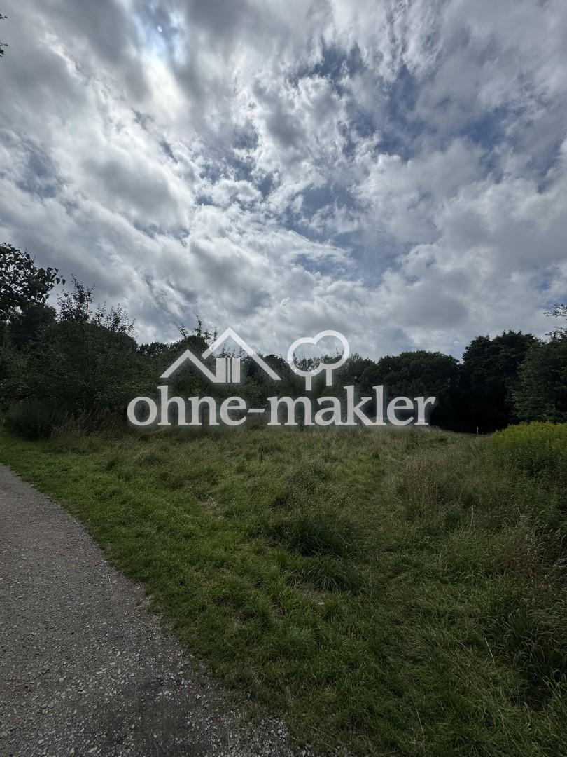 Wanderweg am Appelhoffweiher