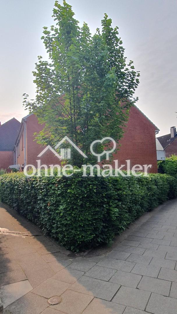Stirnseite mit Garten