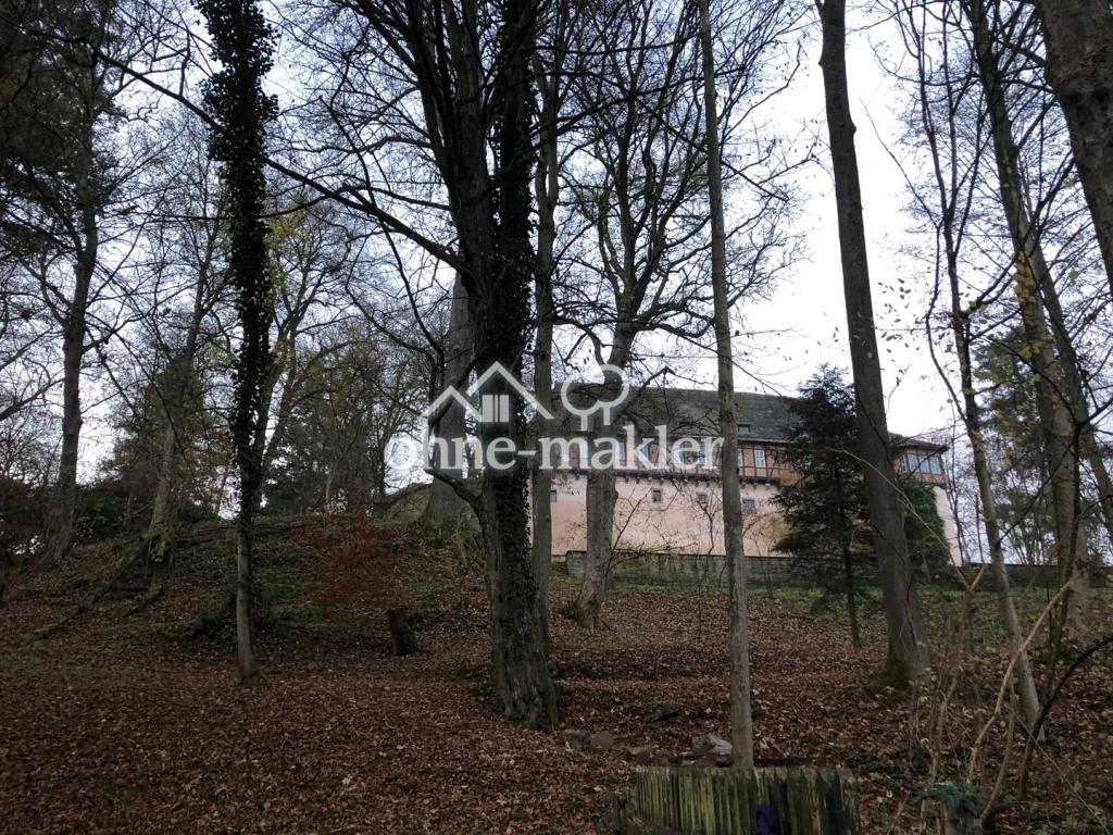 Umgebung: Schloss Nienover