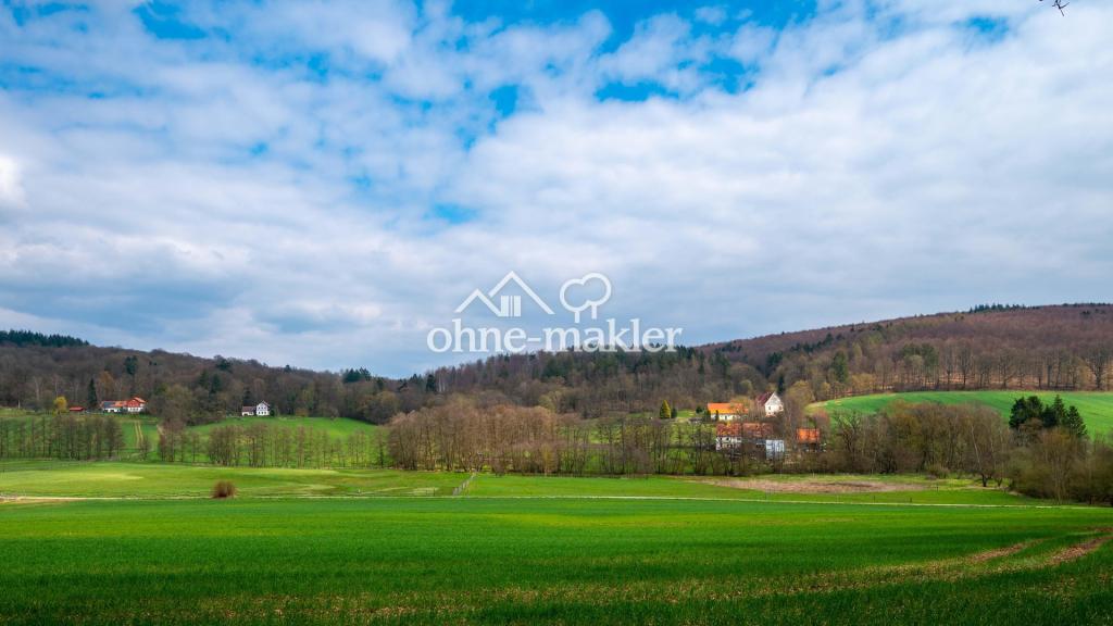Blickrichtung vom Schloss aus