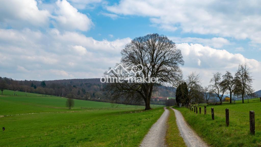 Wiesenweg Richtung Haus