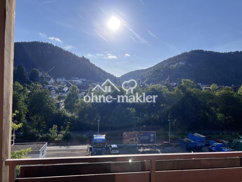 Ausblick vom Balkon