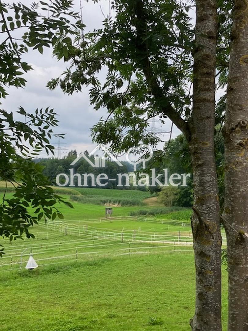 Blick vom Platz Richtung Wald