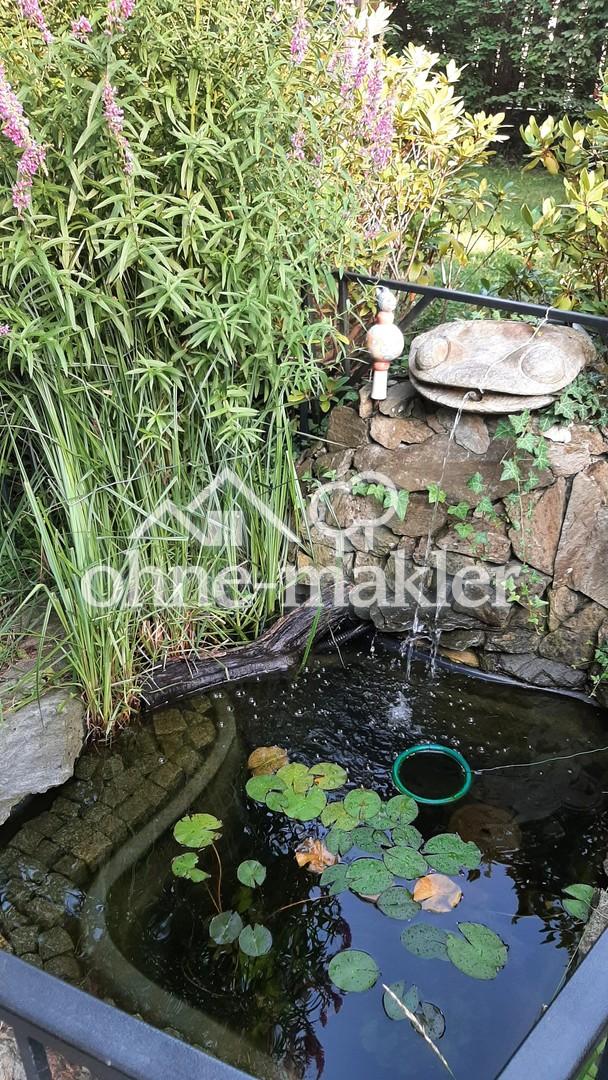 06 Kleiner Teich, Zierfische