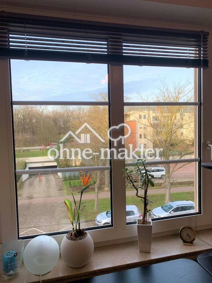 Blick in den Stadtpark
