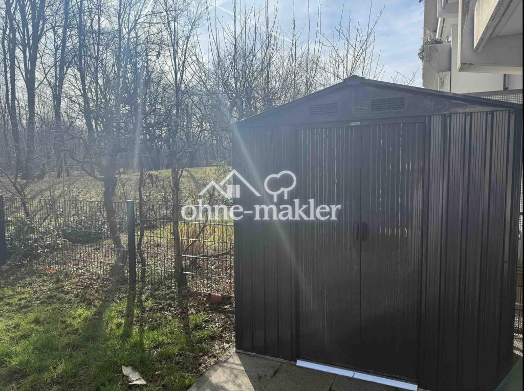 Garden Fence & Shed