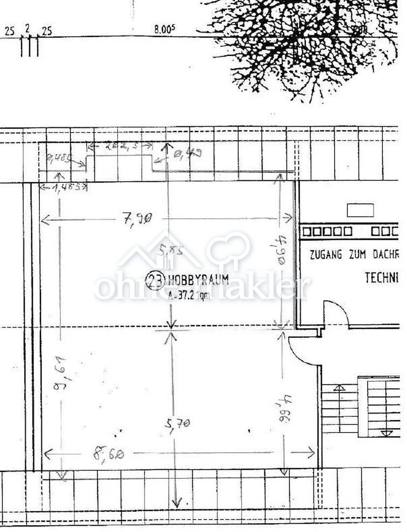 Grundriss DG