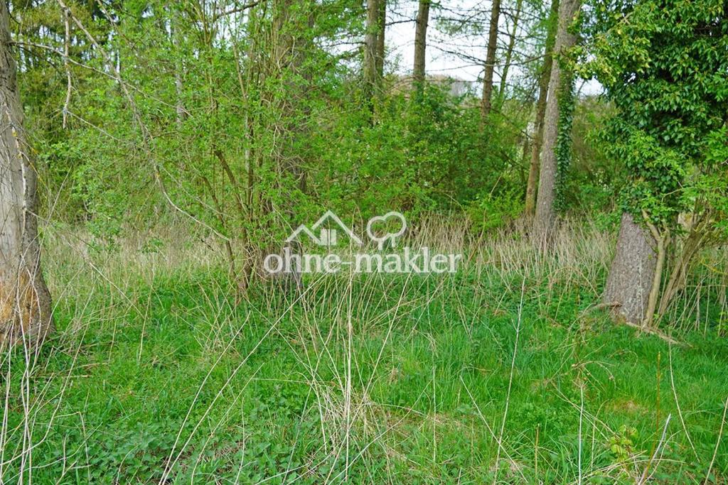 Hier beginnt die Wildnis