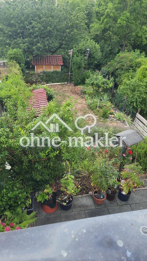 Blick in den Garten