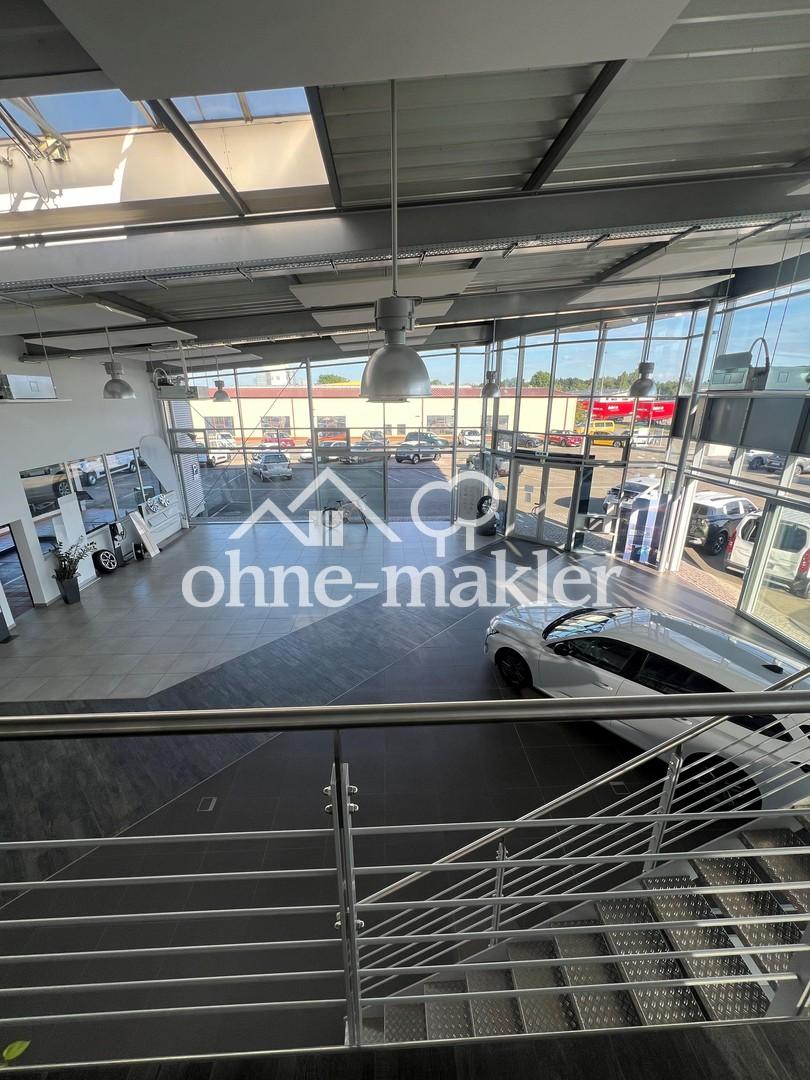 Ausstellungs-und Bürofläche