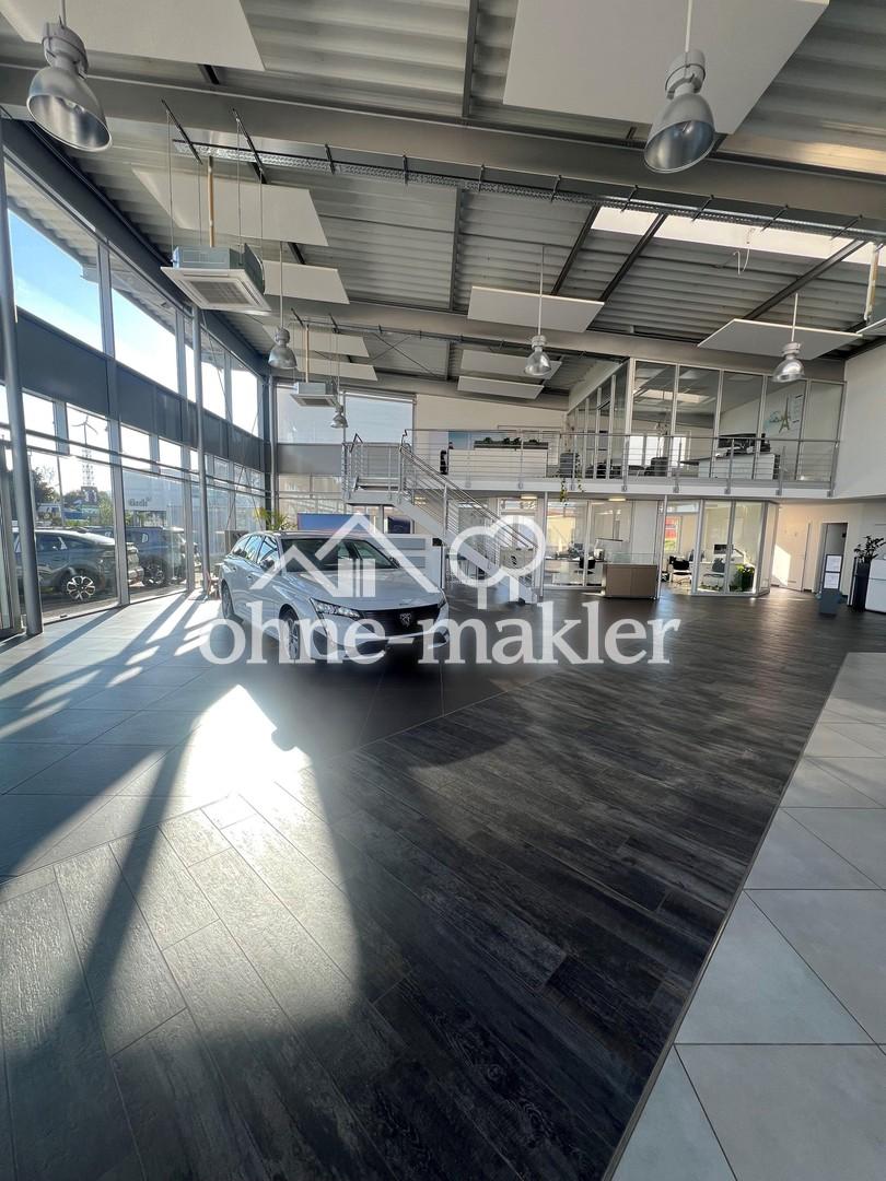 Ausstellungs-und Bürofläche