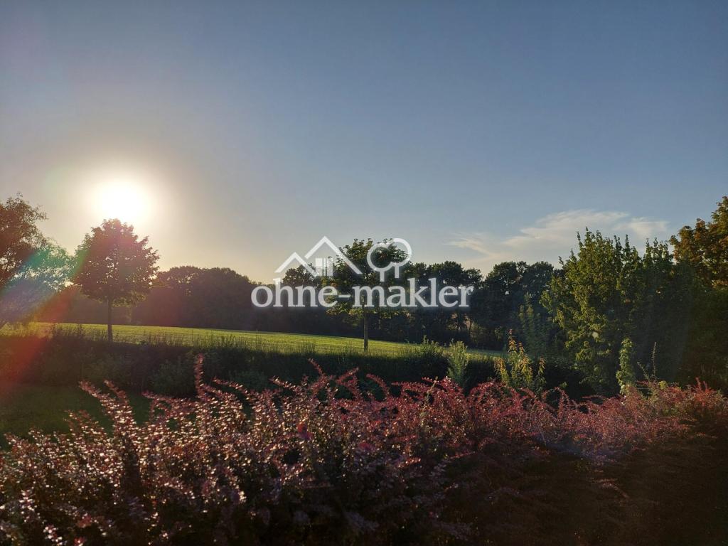 Blick aus dem Garten Nordseite